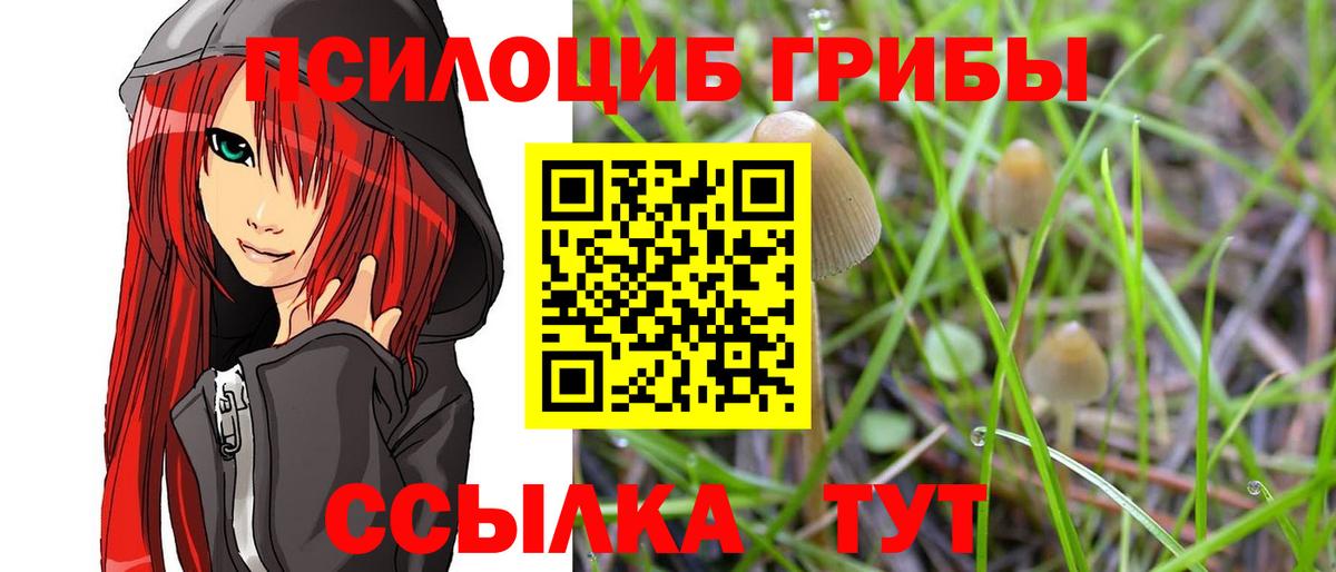 Псилоцибиновые грибы мицелий Шахты