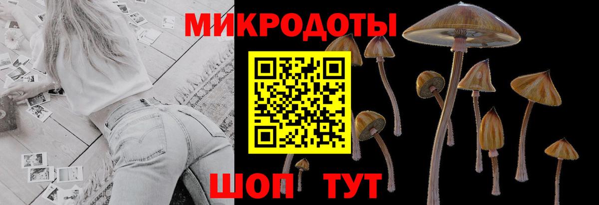 Галлюциногенные грибы GOLDEN TEACHER  Вход с VPN  Шахты  Галлюциногенные грибы MAGIC MUSHROOMS 